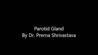 Parotid gland By Dr Prerna Shrivastava at drlectures parotid gland anatomy drlecture [upl. by Ebehp]