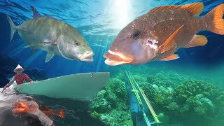 Berburu Ikan Dan Memanah Bebagai Jenis Ikan Karang  Spearfishing Indonesia [upl. by Eibrab522]