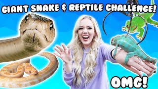 GIANT SNAKES SPIDERS amp REPTILES CLAW MACHINE CHALLENGE [upl. by Assirehs]