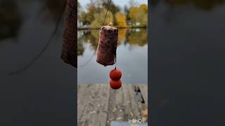 Карпфишинг fishing carpfishing carp рыбалка [upl. by Balbinder775]