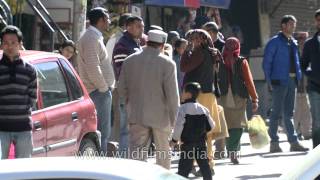 Local market of Jubbal [upl. by Yrag]