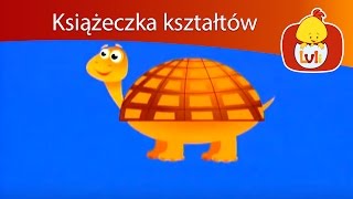 Książeczka kształtów  Półkole kieszonka kangura dla dzieci Luli TV  Videos for babies [upl. by Lavicrep738]