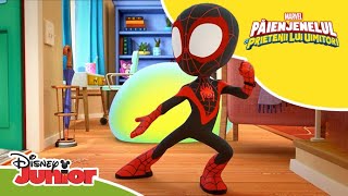 🧪 Eperiment eșuat  Păienjenelul Marvel și prietenii lui uimitori  Disney Junior România [upl. by Pickett]