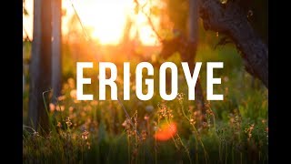 BORDEAUX REGION — DOMAINE ERIGOYE FRANCE  4K [upl. by Harias]