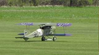 Balsa USA Albatros DV Maiden Flight [upl. by Evelunn]