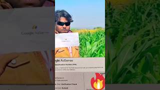 Googal adsense pin adiwasistatus2024 bd makwana मारू googal अडसेंस पिन आवि ग्यु छे दोस्तों [upl. by Aigil]