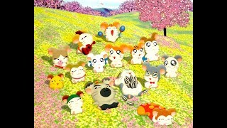 Hamtaro Hiragana Special 1 [upl. by Prisilla877]