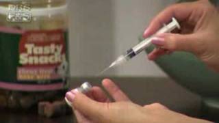 How to Vaccinate Your Dog at Home DrsFosterSmith [upl. by Seaman]