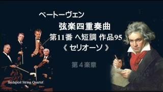 ベートーヴェン 弦楽四重奏曲 第11番 ヘ短調 作品95 ≪セリオーソ≫ BeethovenString Quartet No11 Fminor quotSeriosoquot [upl. by Nyliak]