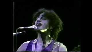 Caetano Veloso  Um índio Ao Vivo  1982 [upl. by Drawoh814]