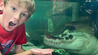 Dawson’s Summer Diaries Episode 28 Audubon Insectarium and Aquarium [upl. by Whitney177]