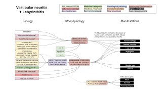 Vestibular neuritis  Labyrinthitis mechanism of disease [upl. by Rednirah]