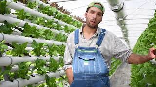 Hydroponic Farming How This Farmer Grows Big in Small Spaces [upl. by Yeltnerb237]