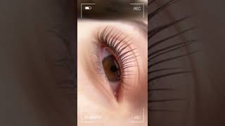 AMAZING LASH LIFTlashlift lashlifting lashing [upl. by Adiam]