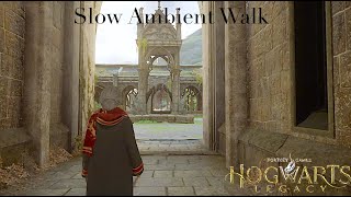 Walking through Hogwarts to The Owlery  Hogwarts Legacy Tour ambience [upl. by Polish]