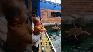 Baby Ben 9montholdbaby First time at Oceanarium 🪼🐠🦈 Bournemouth bournemouth oceanarium [upl. by Ahsimin]