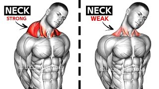 Best Neck Workout At Home Without Equipment  Neck Workout Exercise 🏠At home🏠 [upl. by Erual]