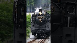 【4K縦動画】C58363 門デフ！秩父鉄道・SLパレオ 白久〜三峰口通過 ChichibuRailway Steam locomotive Class C58 quotPALEO EXPRESSquot [upl. by Osrit]