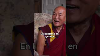 Parte 13  ¿Budismo y Ciencia dicen lo mismo  Entrevista Dr Manuel Sans y Lama Thubten Wangchen [upl. by Ainod]