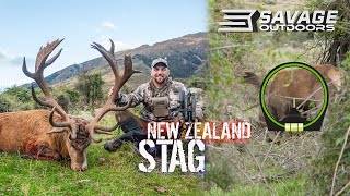 DREAM STAG HUNT in NEW ZEALAND [upl. by Ylus960]