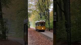 Rotterdamse Vierasser in het Openluchtmuseum doet een Lichtgroet [upl. by Reibaj]