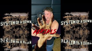 Aerials  System of a Down Vocal Cover [upl. by Stearne]