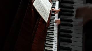 SRachmaninoff  Prelude in G minor shorts music pianoteacher [upl. by Klepac854]