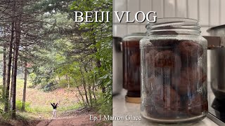 ENG  BEIJI VLOG  Ep1 Marron Glace  밤조림 [upl. by Oiramaj]