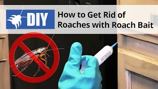 Roach Bait Treatment  How to Get Rid of Roaches  DoMyOwncom [upl. by Rosene]