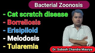 Bacterial ZoonosisZoonotic Disease  Veterinary Public health Crazy Vet Classes VO exam LDO exam [upl. by Garap]