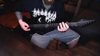 Cannibal Corpse  Devoured By Vermin guitar cover [upl. by Anauq]