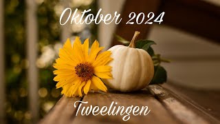 Kaartlegging voor het sterrenbeeld Tweelingen  Oktober 2024 ♊️ [upl. by Matthew578]