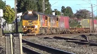 Alexandra Street Level Crossing Te Awamutu Train 240 [upl. by Ynove]