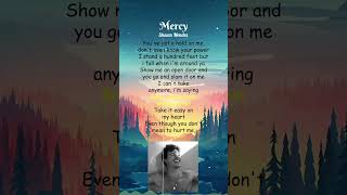 Shawn Mendes  Mercy Lyrics shorts [upl. by Hereld]