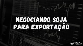 Negociando Soja para Exportação [upl. by Lemrahs]