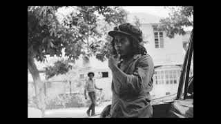 Bob Marley  Rastaman Vibration instrumental [upl. by Roer]