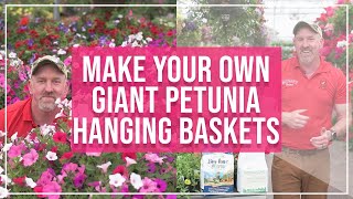 Making Your Own Giant Petunia Hanging Basket  Tips amp Tricks from Baumans Farm amp Garden [upl. by Annola]