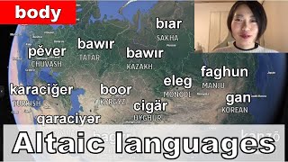 Altaic languages  word comparison with Map Body section [upl. by Tak]