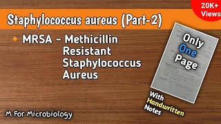 Staphylococcus aureus part2  MRSA Methicillin Resistant S aureus  Short answer question [upl. by Ball922]