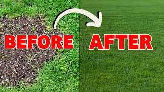 How to make small repairs to any lawn fast and easy [upl. by Ecnarwal423]