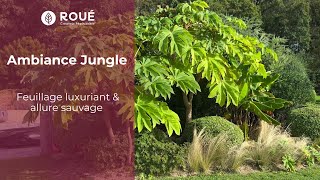 Ambiance jungle  des plantes tropicales pour votre jardin [upl. by Kramal]