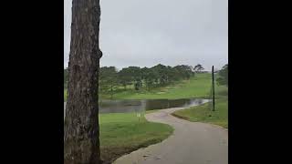 달랏 팔레스 골프 클럽 Da Lat Palace Golf Club [upl. by Elumas]