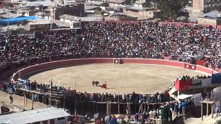 Segunda tarde taurina coracora 2018 07 de agosto en honor a la virgen de las nieves [upl. by Gilbertson]