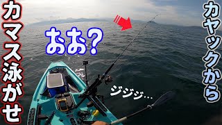 カヤックからカマスを釣って泳がせたら…【離島生活】 [upl. by Cirederf]