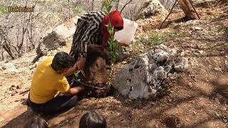 Tree Planting Adventure Akbar and Azime in the City [upl. by Kazimir]