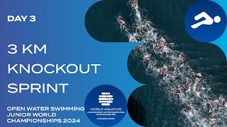 Men amp Women 3km Knockout Sprint  World Aquatics Open Water Swimming Junior World Championships 2024 [upl. by Beisel260]