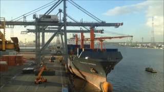 Two STS Cranes at work Port of Antwerp Timelapse made with a Gopro Hero [upl. by Pallaton]