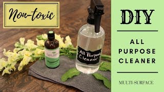 How to Make All Natural All Purpose Cleaner  DIY All Purpose Cleaner [upl. by Kalmick]