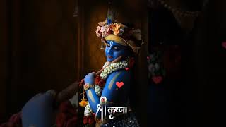 Shrikrishna stromes krishna whtsaapstatus trandingshorts [upl. by Yreva]