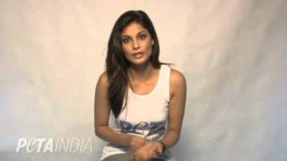 Puja Gupta Says Go Vegetarian [upl. by Maidie]